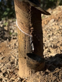 ee4830e0279309bda1d6e08b9e3f7ffe